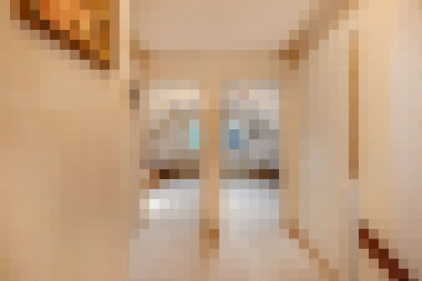 Waarden 9 Emmeloord thumbnail 24