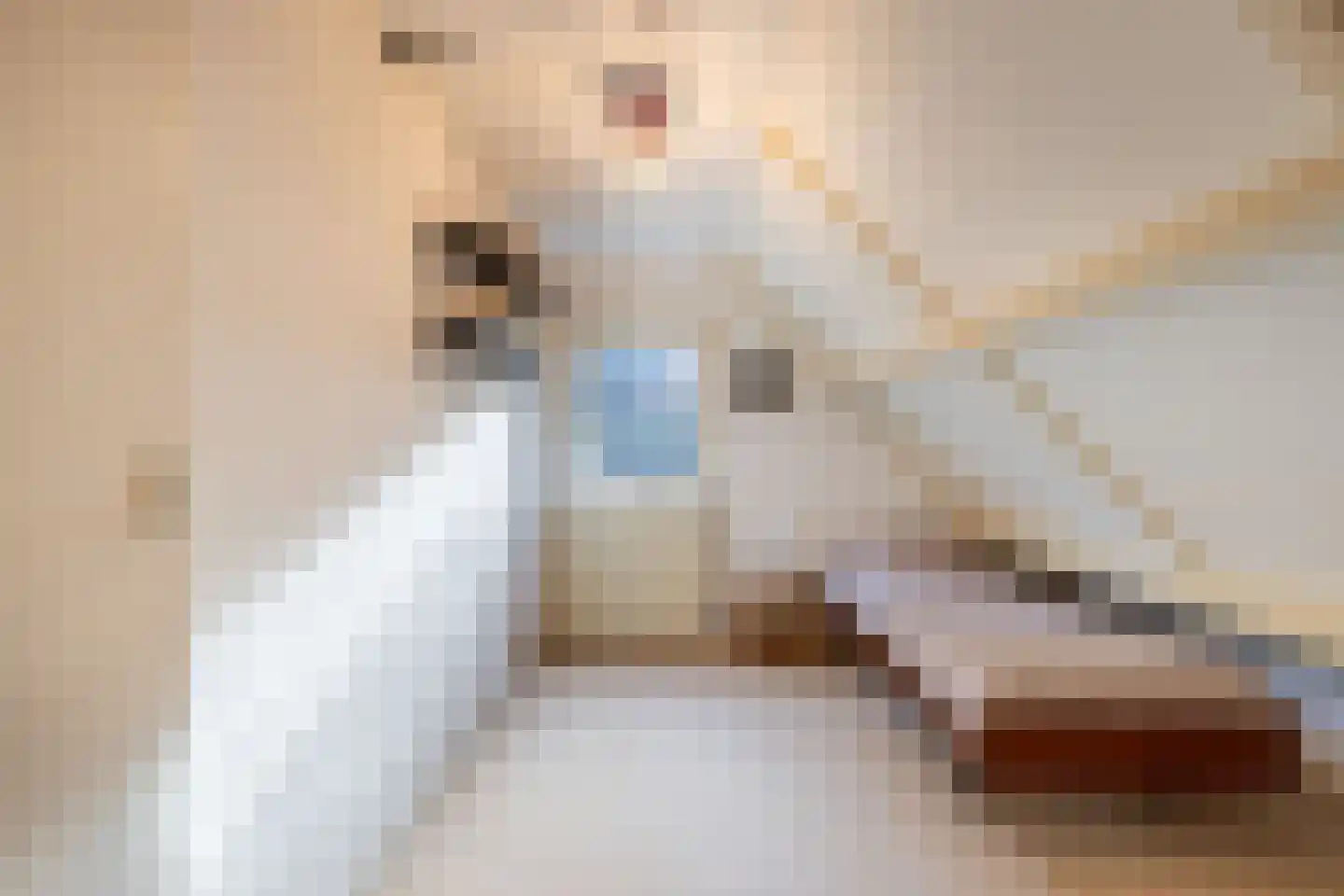 Waarden 9 Emmeloord thumbnail 27