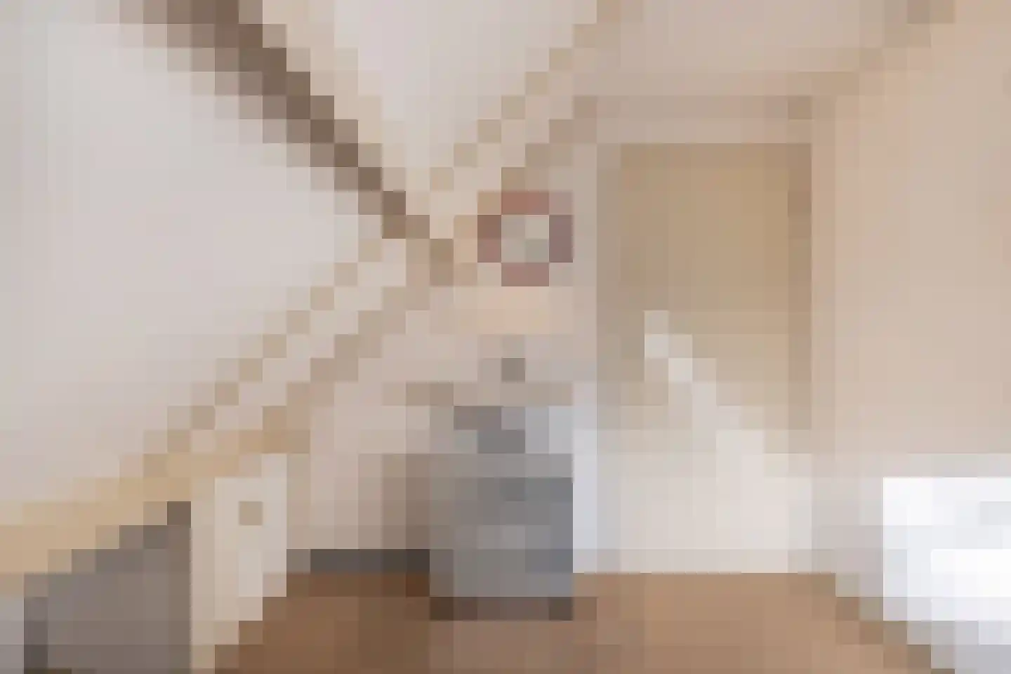 Waarden 9 Emmeloord thumbnail 28