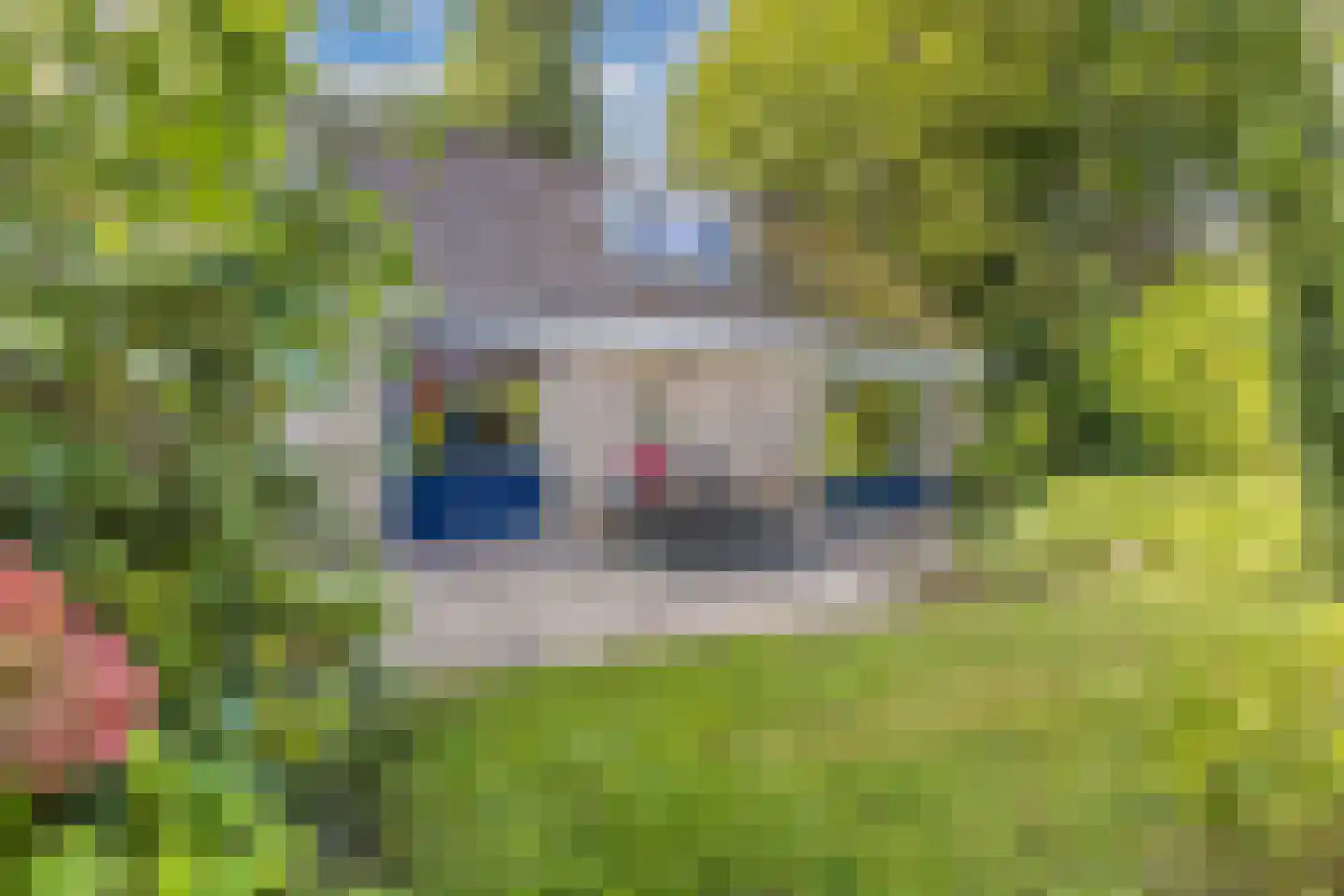 Waarden 9 Emmeloord thumbnail 30
