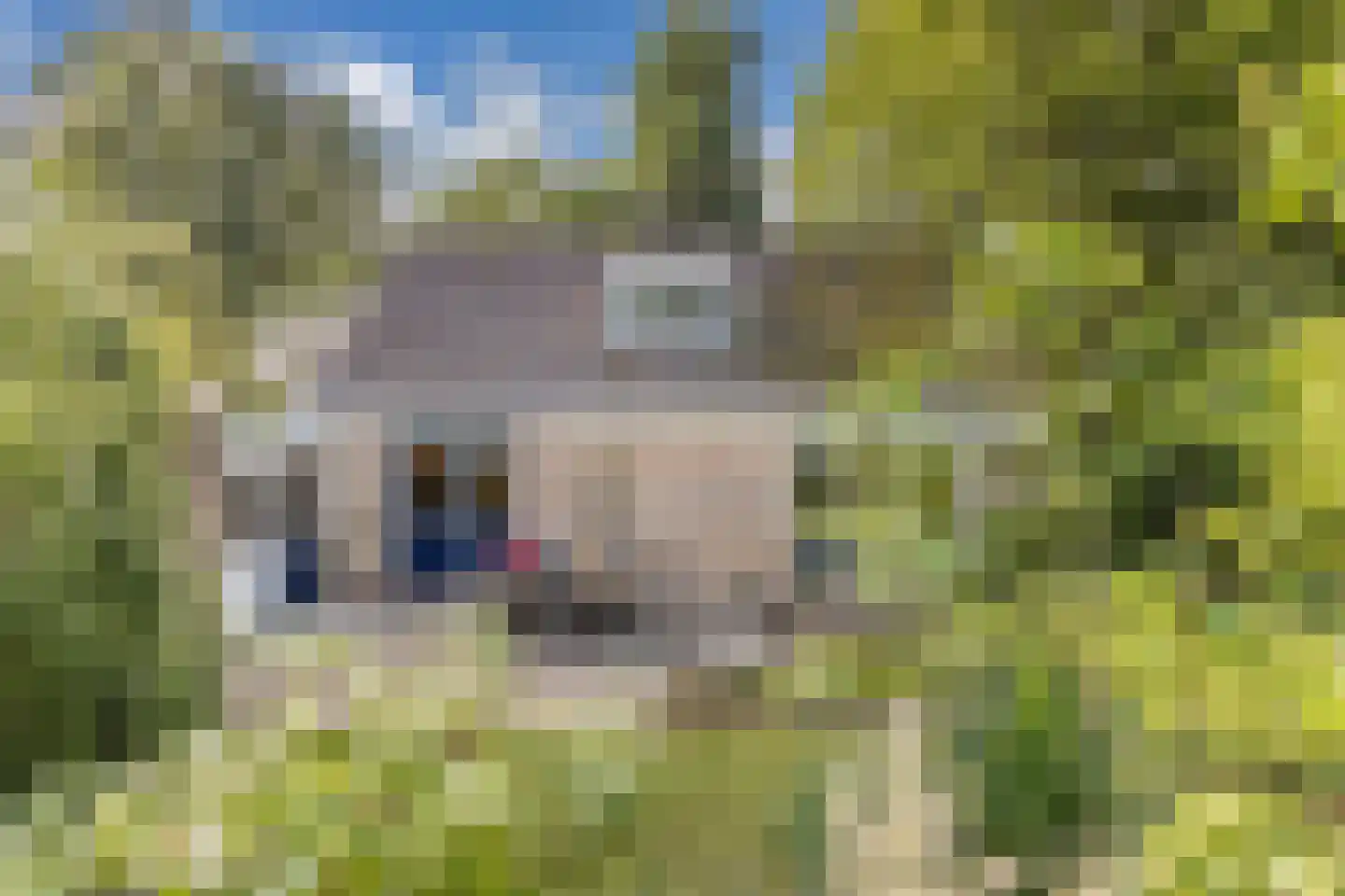 Waarden 9 Emmeloord thumbnail 31