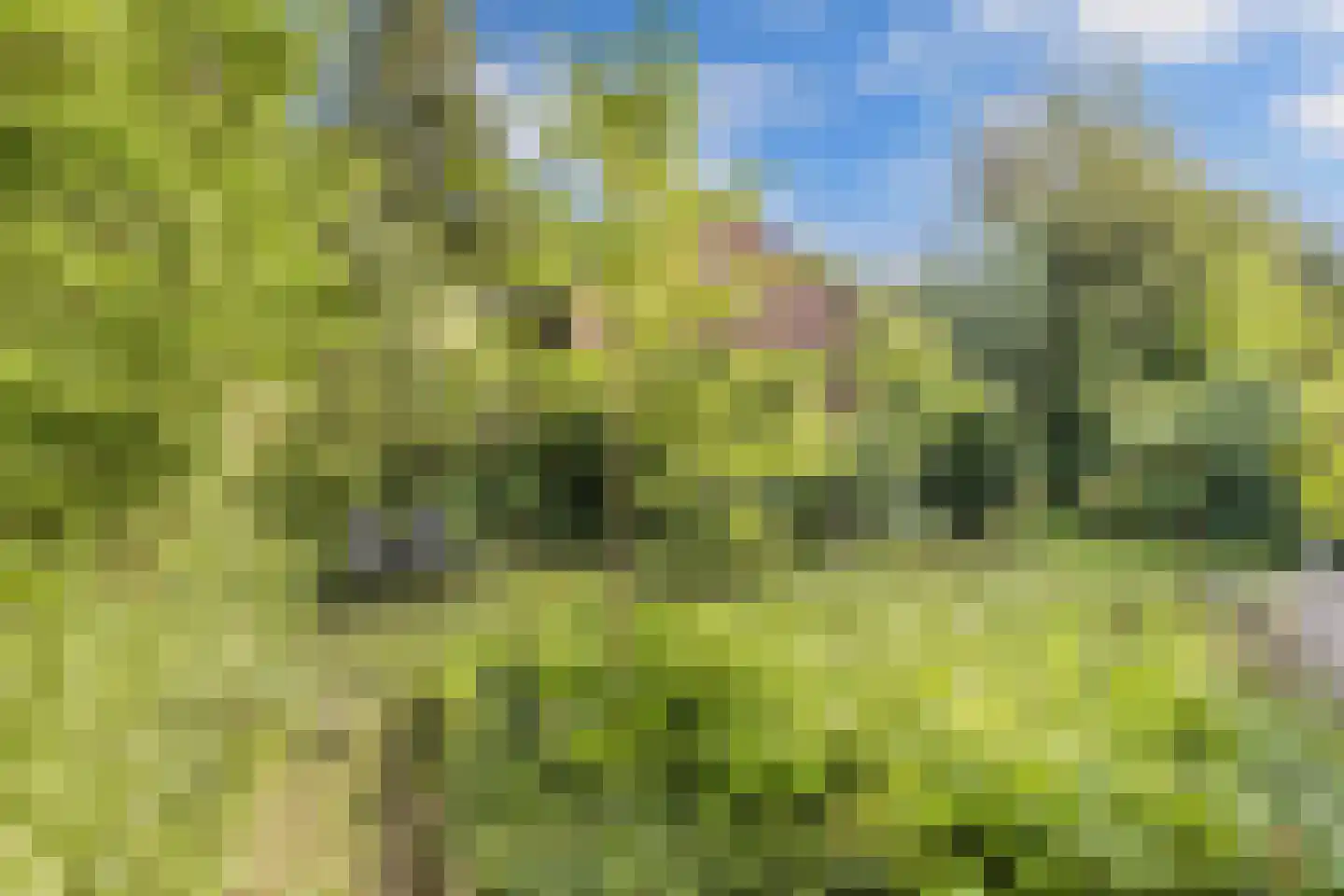 Waarden 9 Emmeloord thumbnail 32