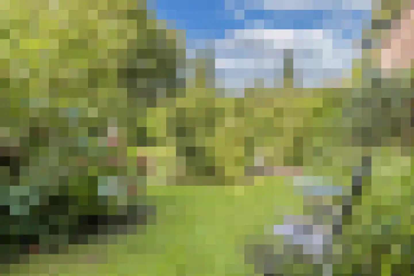 Waarden 9 Emmeloord thumbnail 33