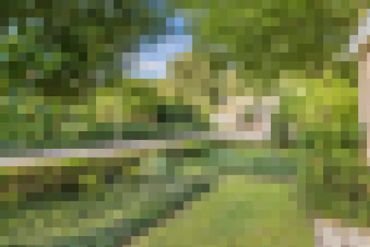 Waarden 9 Emmeloord thumbnail 38