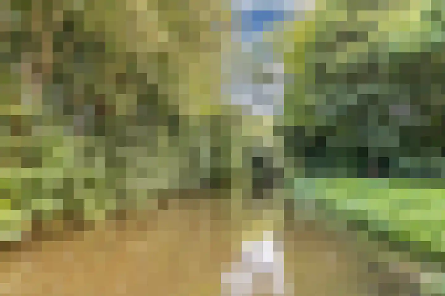 Waarden 9 Emmeloord thumbnail 40