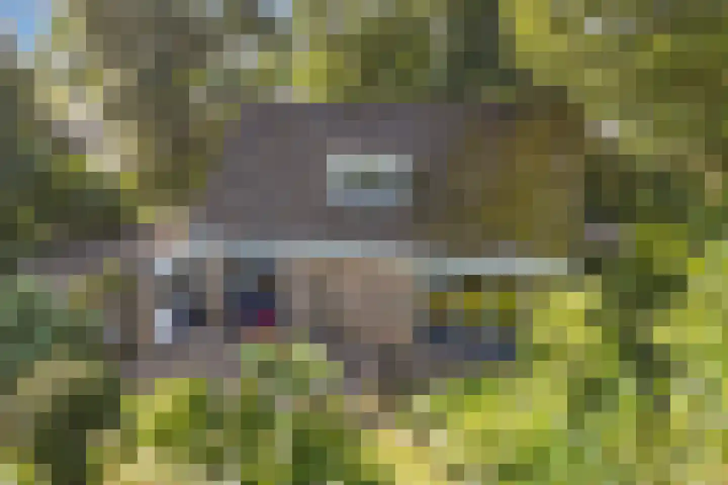 Waarden 9 Emmeloord thumbnail 41