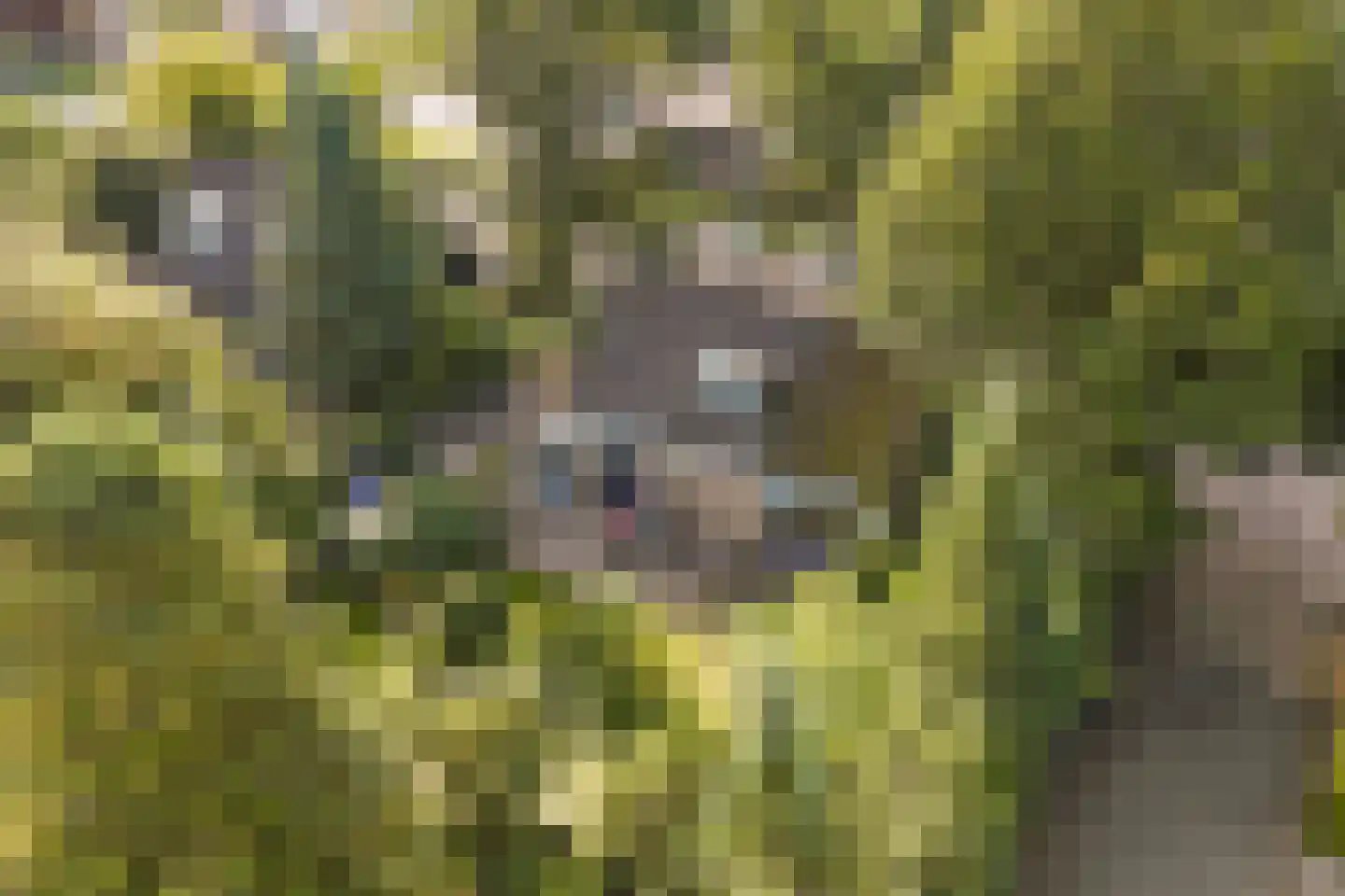 Waarden 9 Emmeloord thumbnail 42
