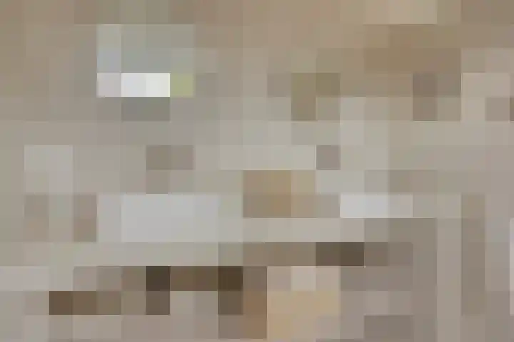 Waardenborchstraat 1 Holten thumbnail 15