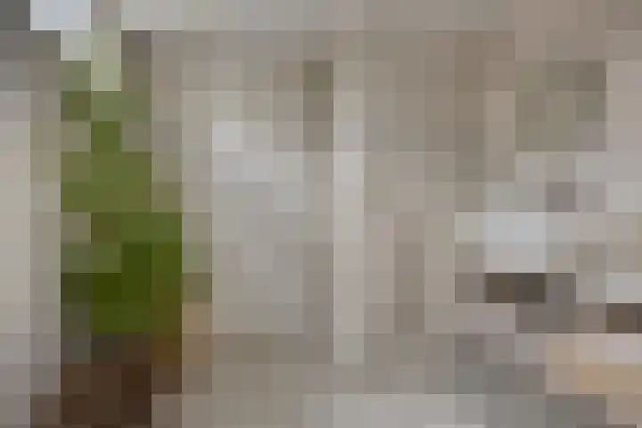 Waardenborchstraat 1 Holten thumbnail 17
