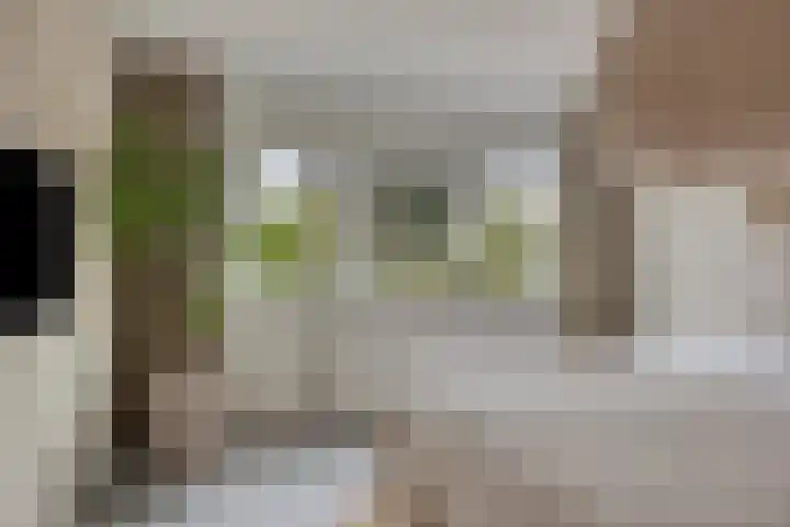 Waardenborchstraat 1 Holten thumbnail 22