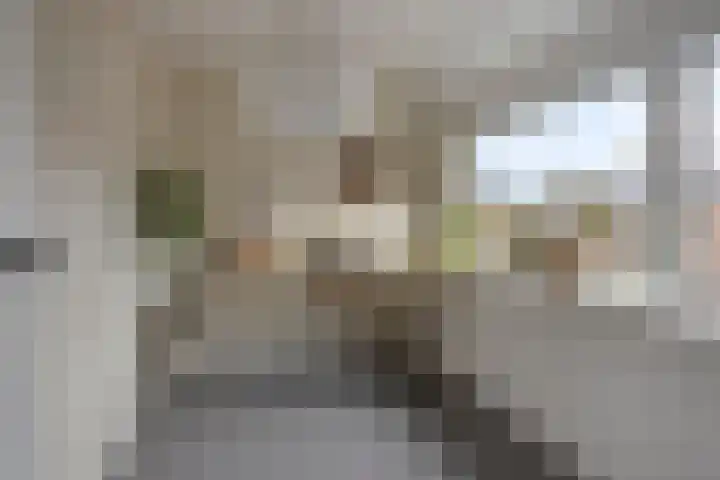 Waardenborchstraat 1 Holten thumbnail 25