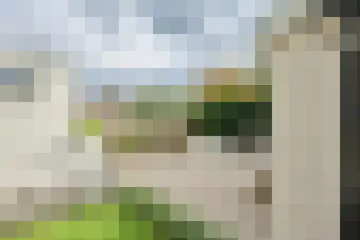 Waardenborchstraat 1 Holten thumbnail 32