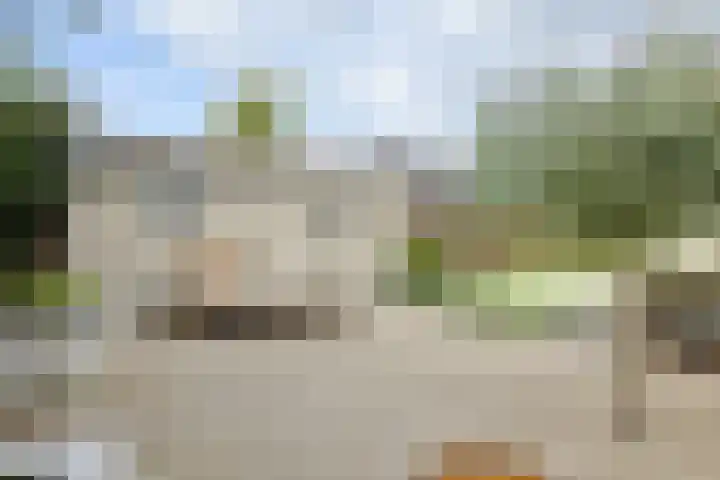 Waardenborchstraat 1 Holten thumbnail 36