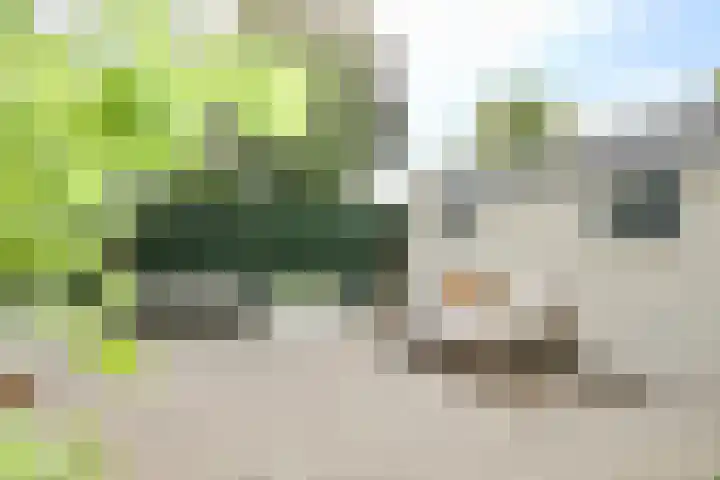 Waardenborchstraat 1 Holten thumbnail 37