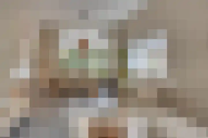 Waardenborchstraat 1 Holten thumbnail 4