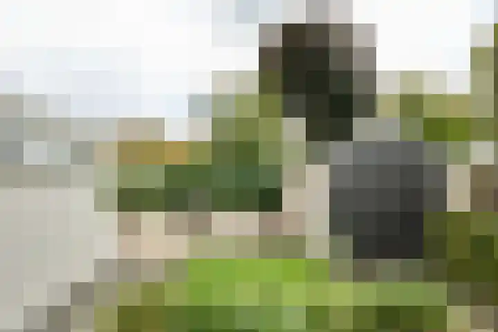 Waardenborchstraat 1 Holten thumbnail 40