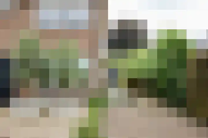 Waardenborchstraat 1 Holten thumbnail 43