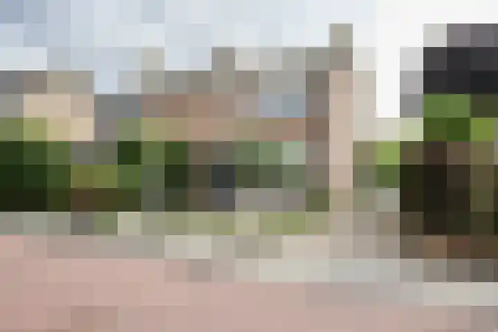 Waardenborchstraat 1 Holten thumbnail 44