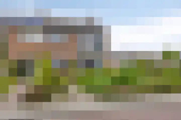 Waardenborchstraat 38 Holten thumbnail 29