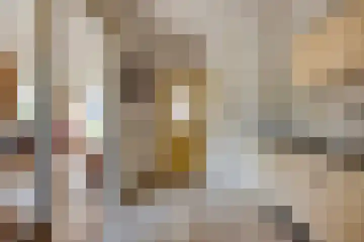 Waardenborchstraat 38 Holten thumbnail 8
