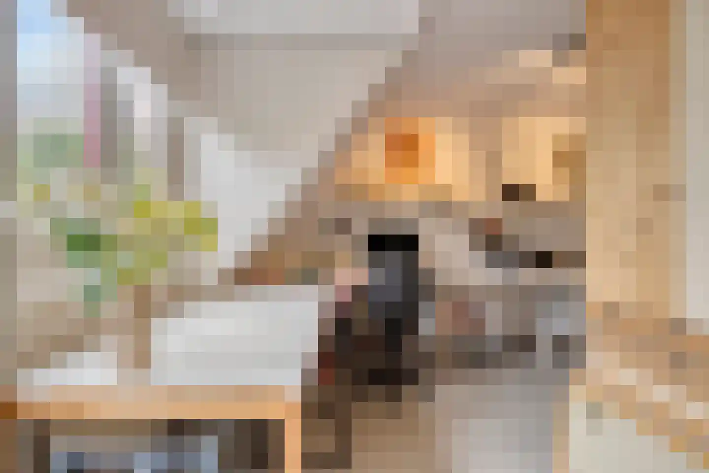 Waardenborg 5 Deventer thumbnail 18