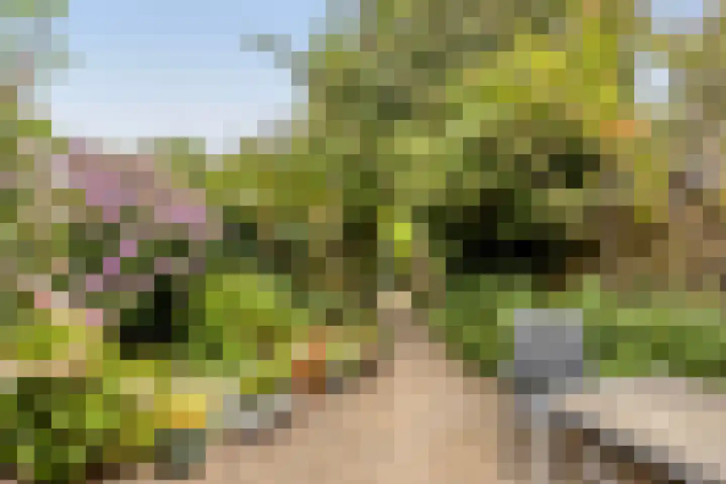 Waardenborg 5 Deventer thumbnail 28