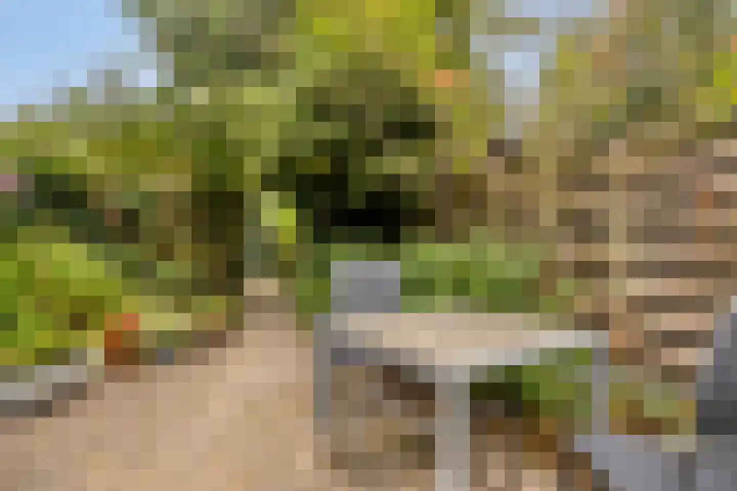 Waardenborg 5 Deventer thumbnail 29