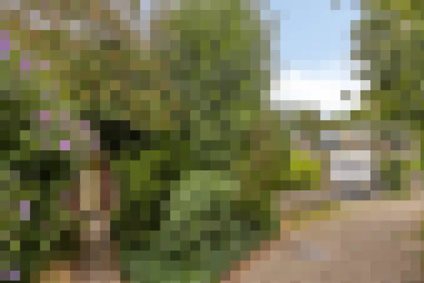 Waardenborg 5 Deventer thumbnail 31