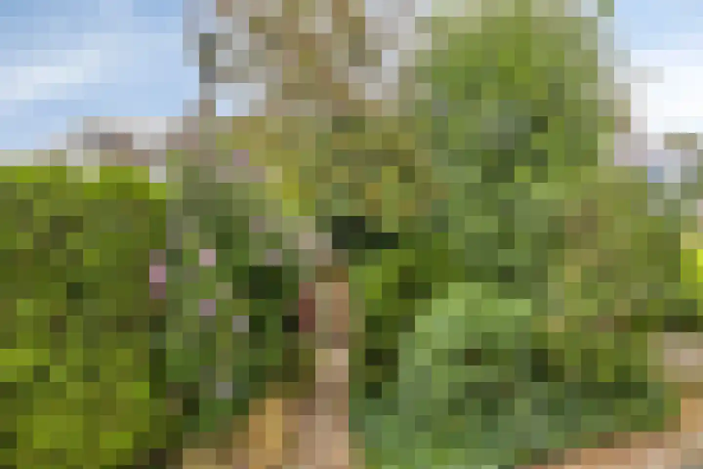 Waardenborg 5 Deventer thumbnail 32