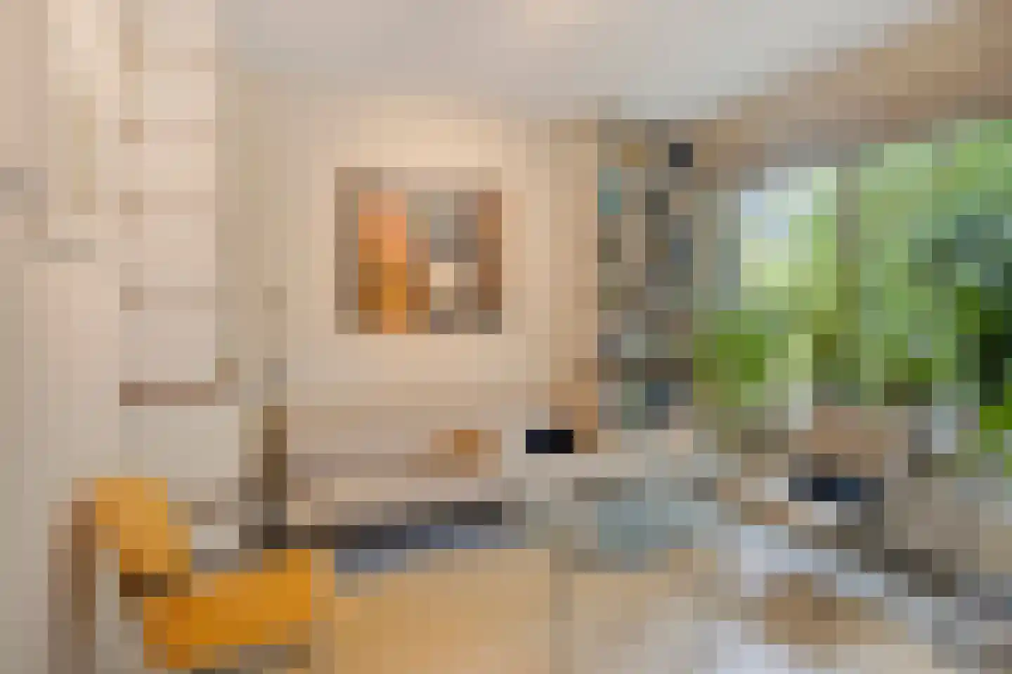 Waardenborg 5 Deventer thumbnail 4