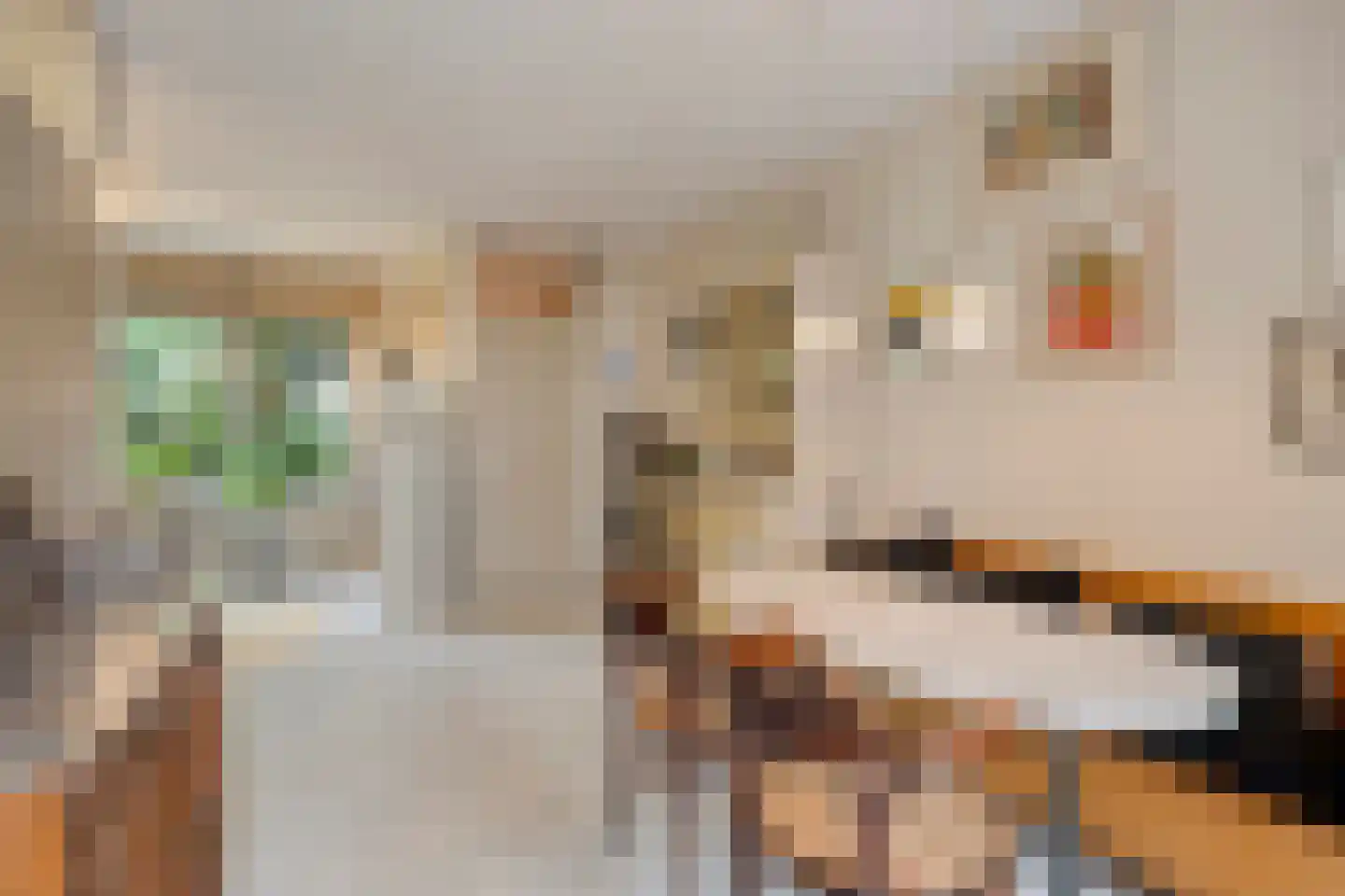 Waardenborg 5 Deventer thumbnail 7