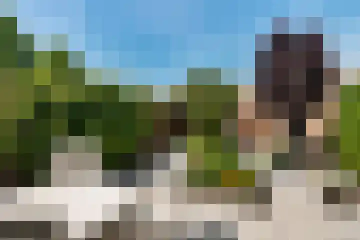 Waardenburg 120 Hillegom thumbnail 12