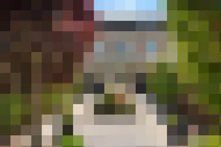 Waardenburg 120 Hillegom thumbnail 14