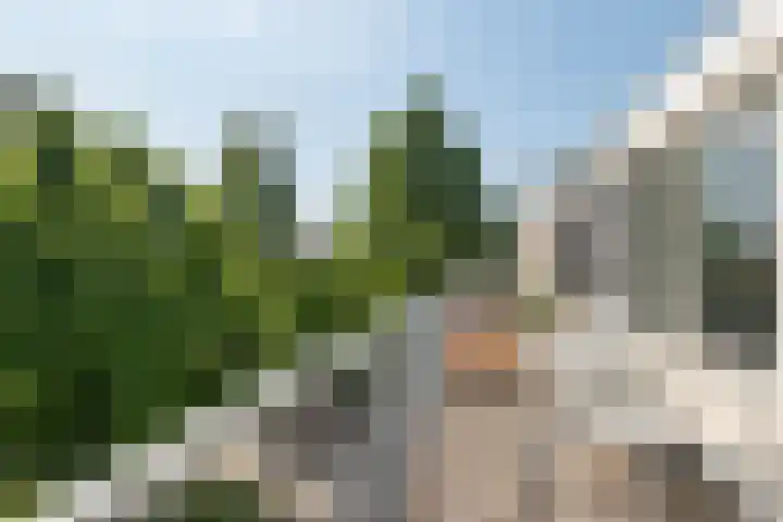 Waardenburg 120 Hillegom thumbnail 30