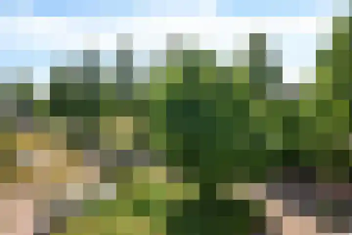Waardenburg 120 Hillegom thumbnail 31