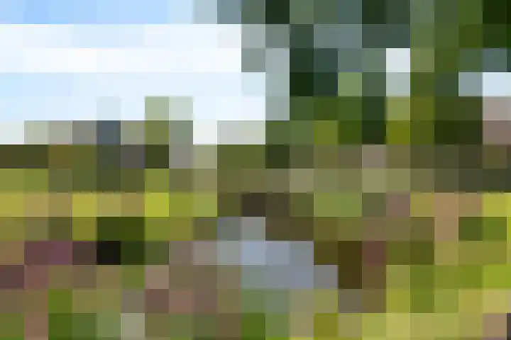 Waardenburg 120 Hillegom thumbnail 33