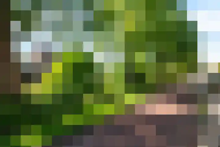 Waardenburg 120 Hillegom thumbnail 4