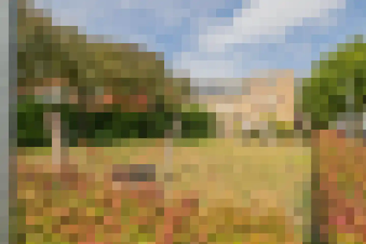 Waardenburg 48 Hillegom thumbnail 42
