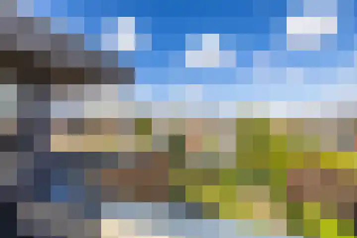 Waardenburg 6 Hillegom thumbnail 28