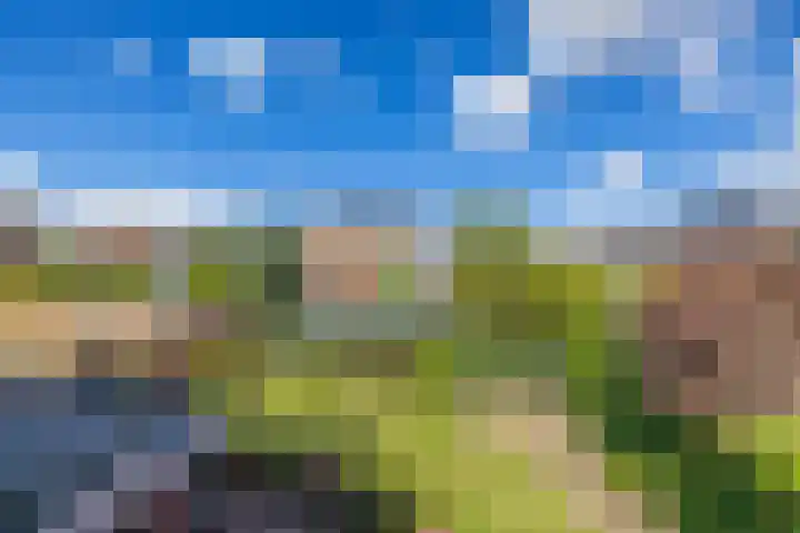 Waardenburg 6 Hillegom thumbnail 29