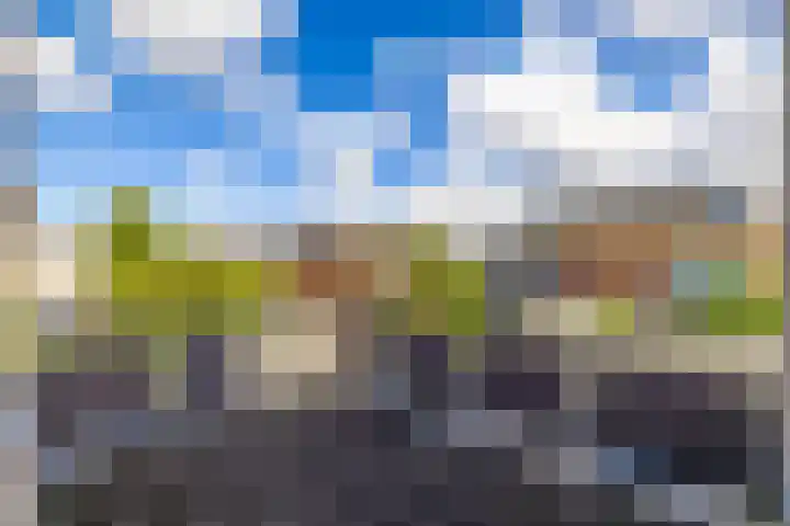 Waardenburg 6 Hillegom thumbnail 30