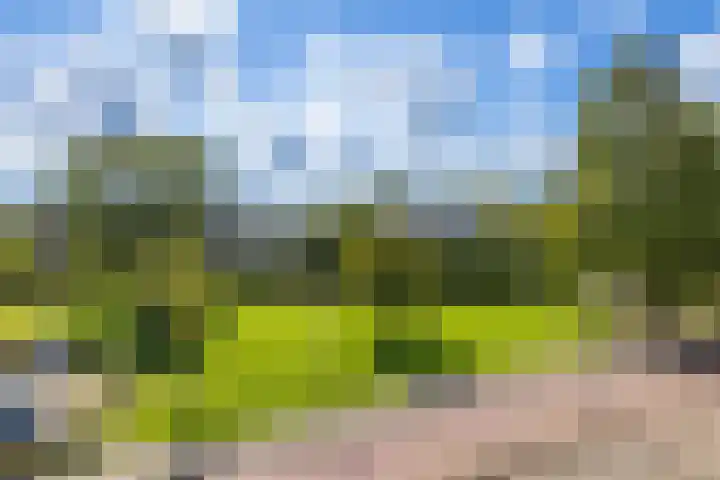 Waardenburg 6 Hillegom thumbnail 32