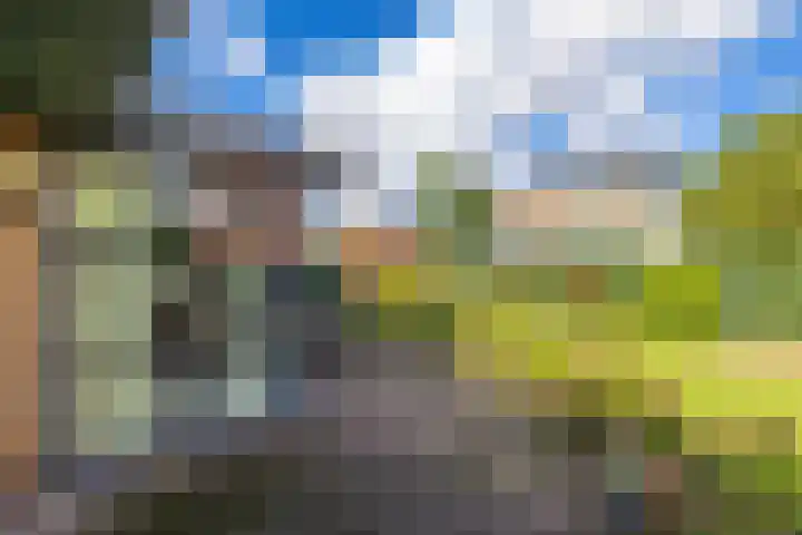 Waardenburg 6 Hillegom thumbnail 35