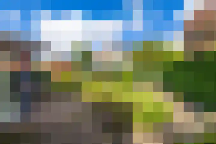 Waardenburg 6 Hillegom thumbnail 36