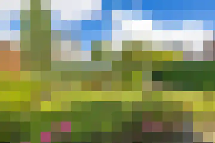 Waardenburg 6 Hillegom thumbnail 38
