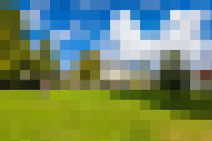 Waardenburg 6 Hillegom thumbnail 39