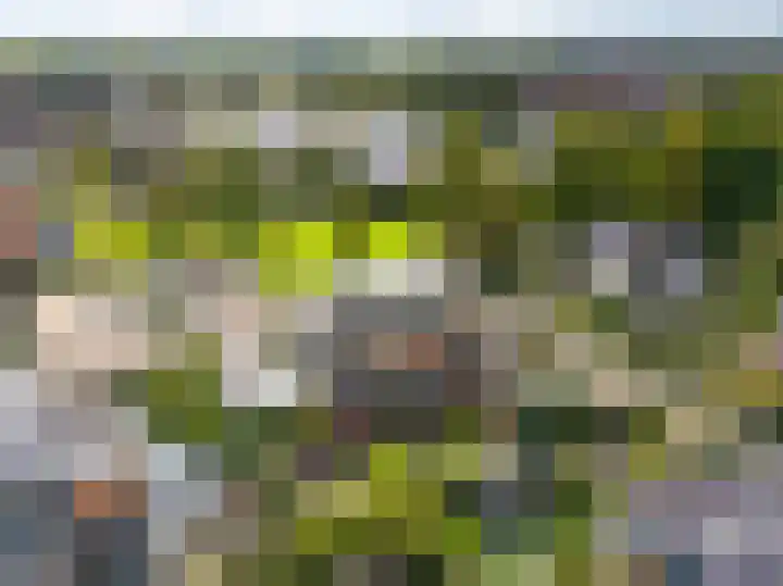 Waardenburg 6 Hillegom thumbnail 41