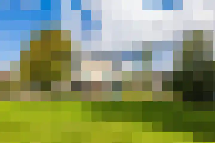 Waardenburg 6 Hillegom thumbnail 5