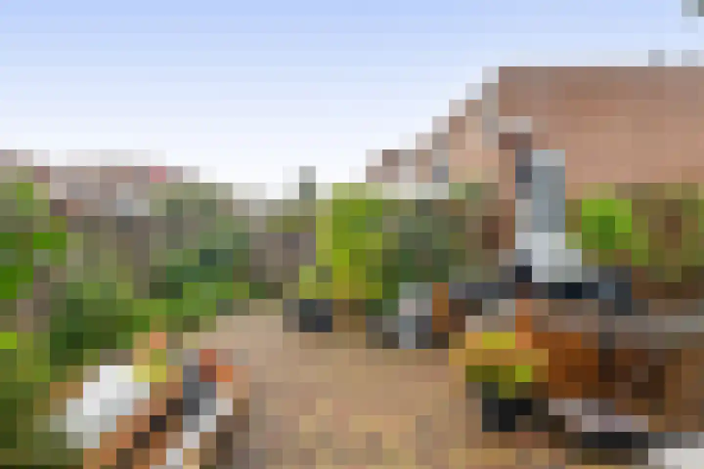 Waardenburgdam 4 Rotterdam thumbnail 16