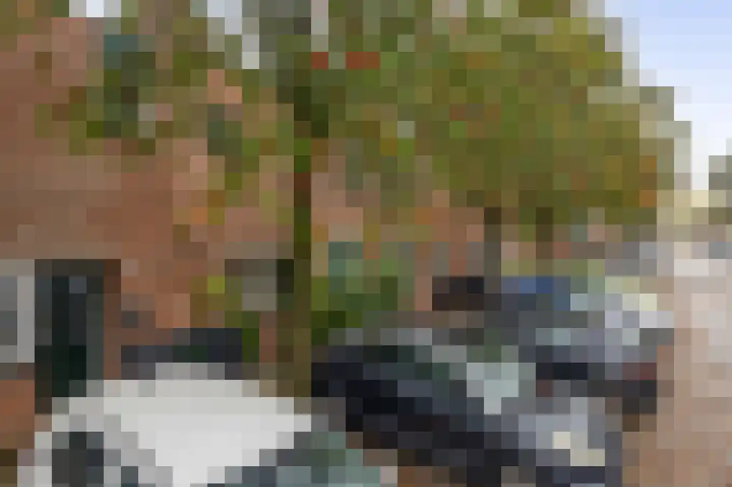 Waardenburgdam 4 Rotterdam thumbnail 4